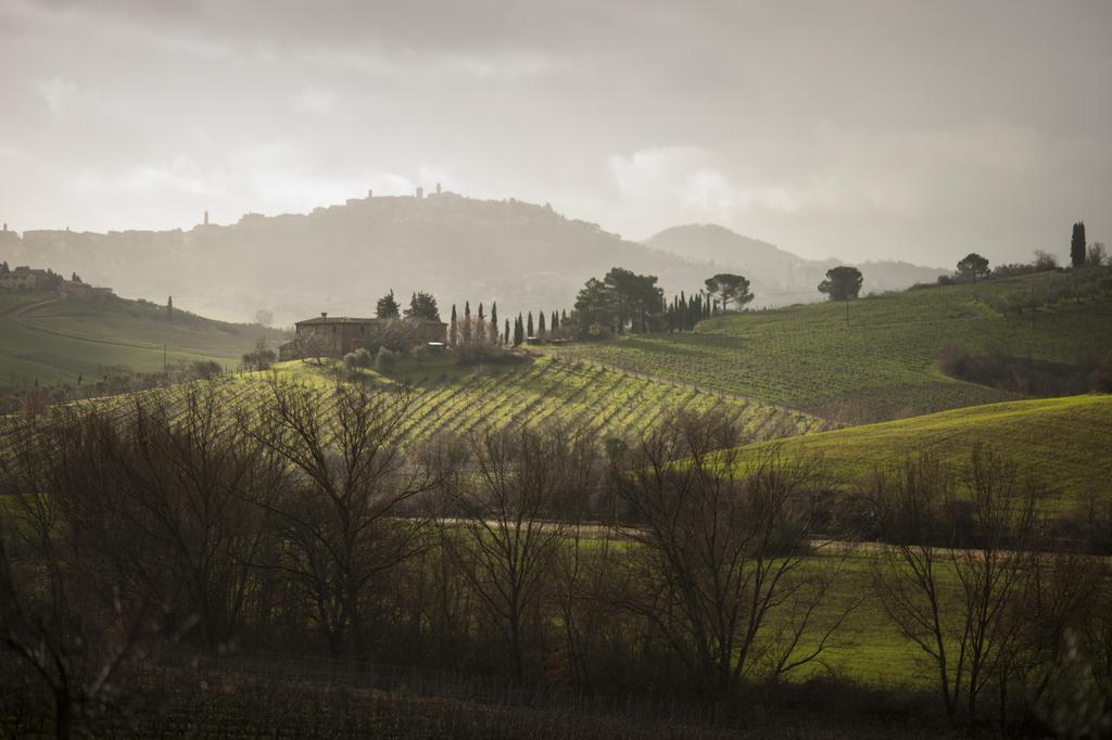 Follonico 4-Suite B&B Torrita di Siena Exteriér fotografie