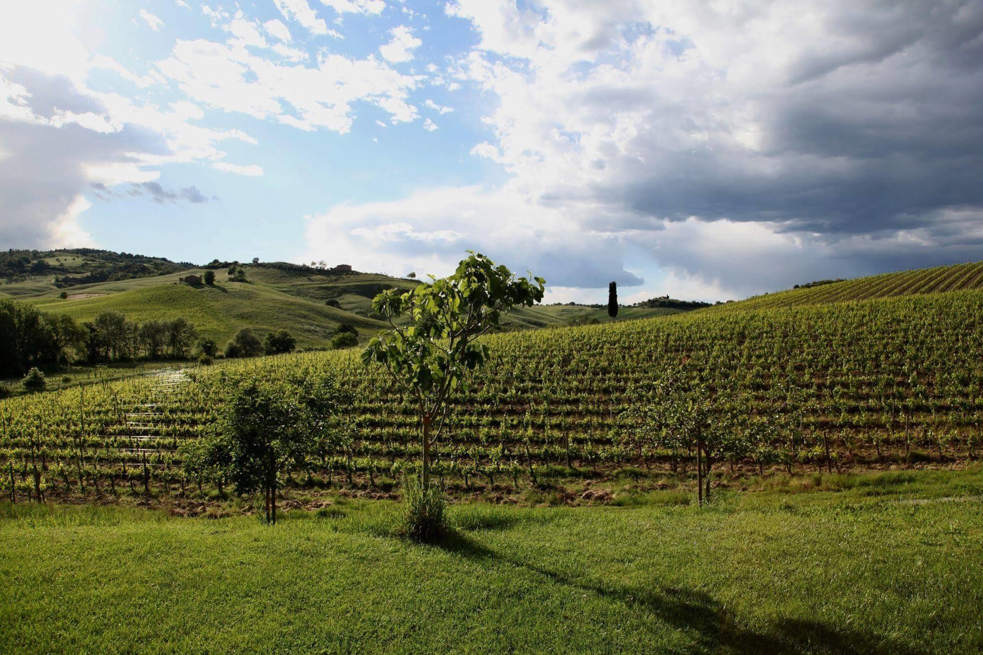 Follonico 4-Suite B&B Torrita di Siena Exteriér fotografie