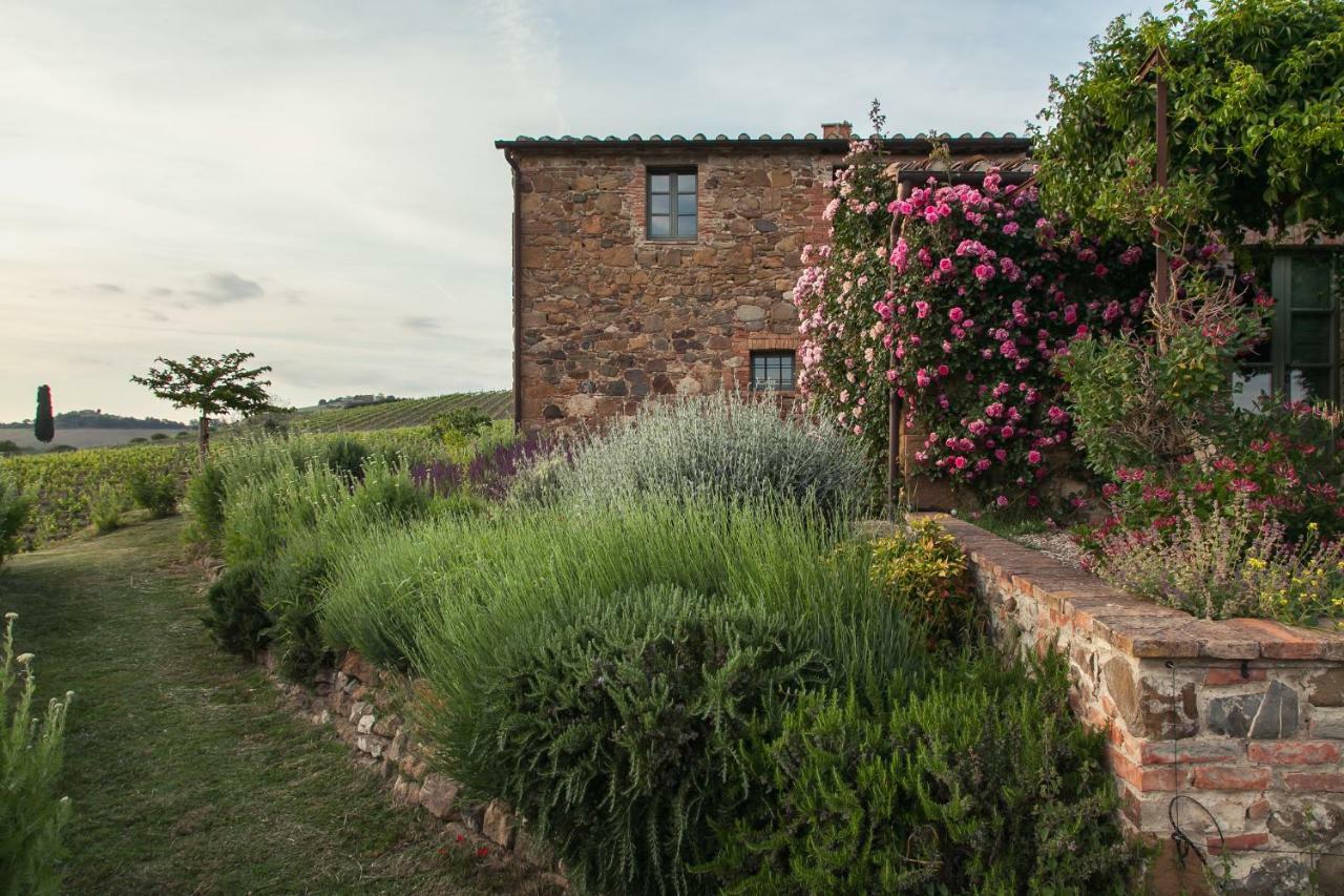 Follonico 4-Suite B&B Torrita di Siena Exteriér fotografie