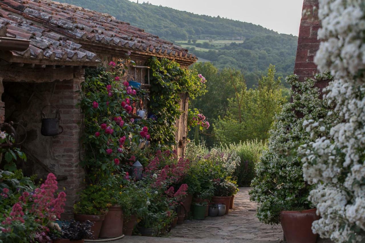 Follonico 4-Suite B&B Torrita di Siena Exteriér fotografie